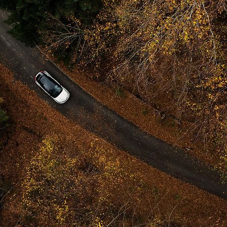 Grand Forest Metsovo - Small Luxury Hotels Of The World Εξωτερικό φωτογραφία