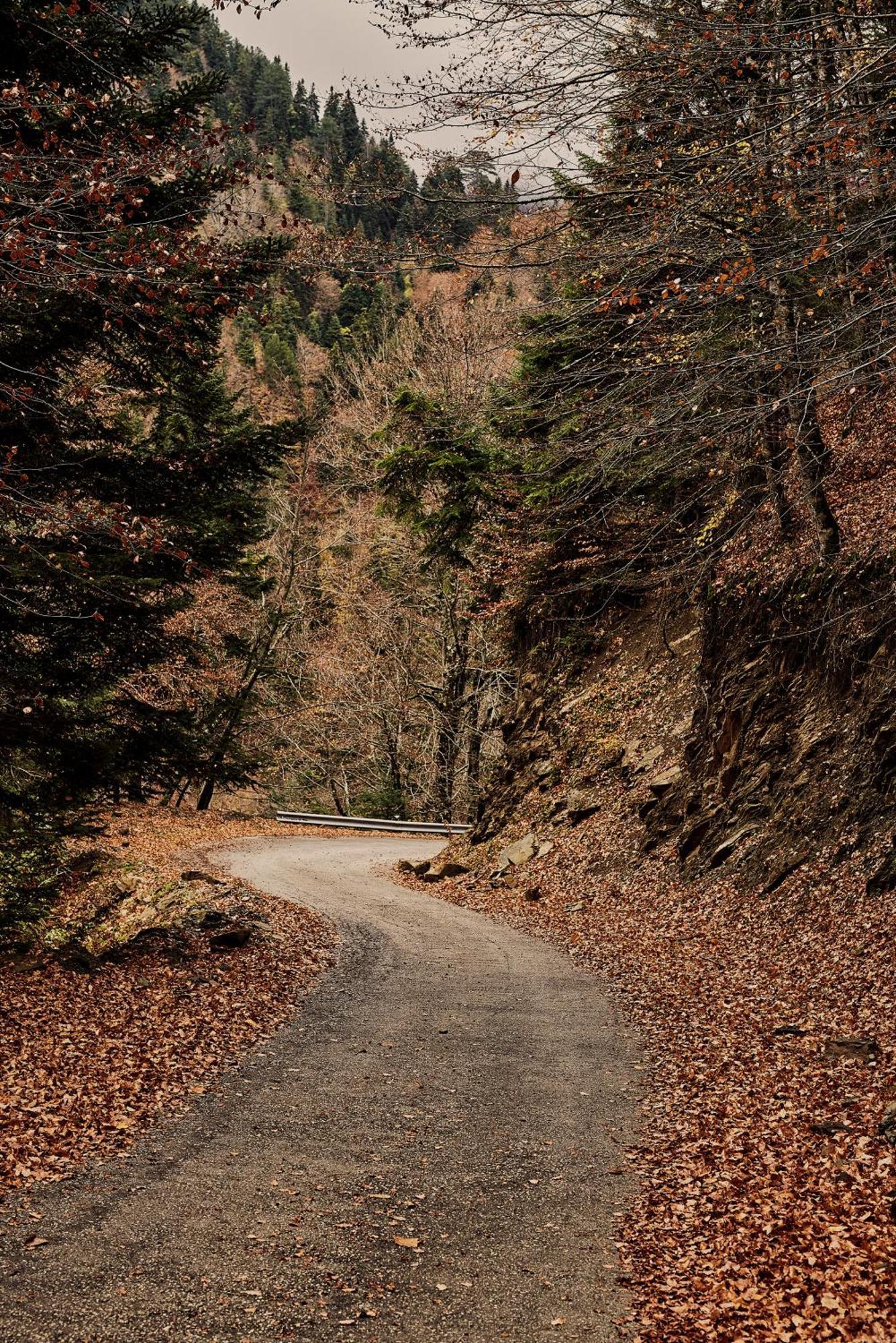 Grand Forest Metsovo - Small Luxury Hotels Of The World Εξωτερικό φωτογραφία